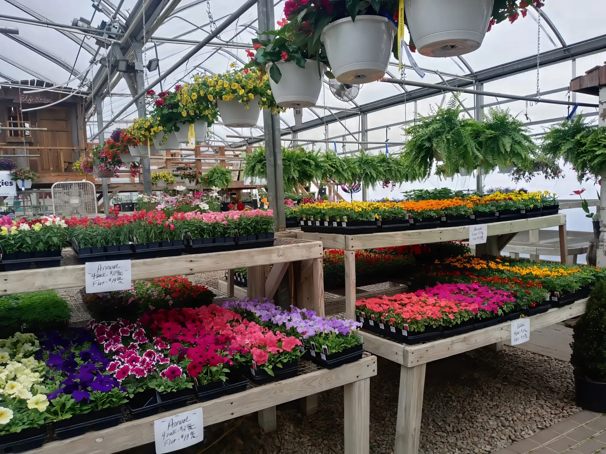 Products | Horrocks Garden Center | Trees, Shrubs, Flowers